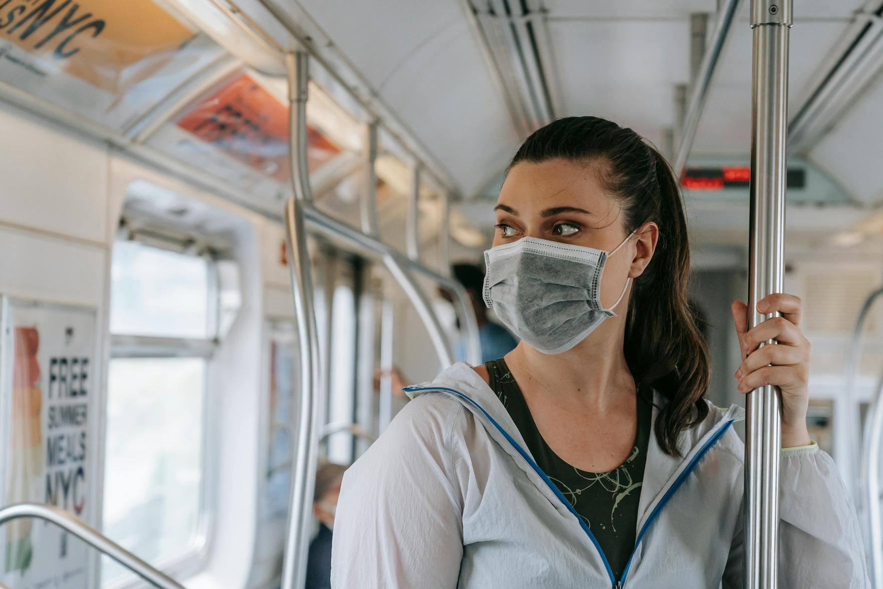Dicas para Evitar Pragas em Acomodações Durante suas Viagens Tranquilas