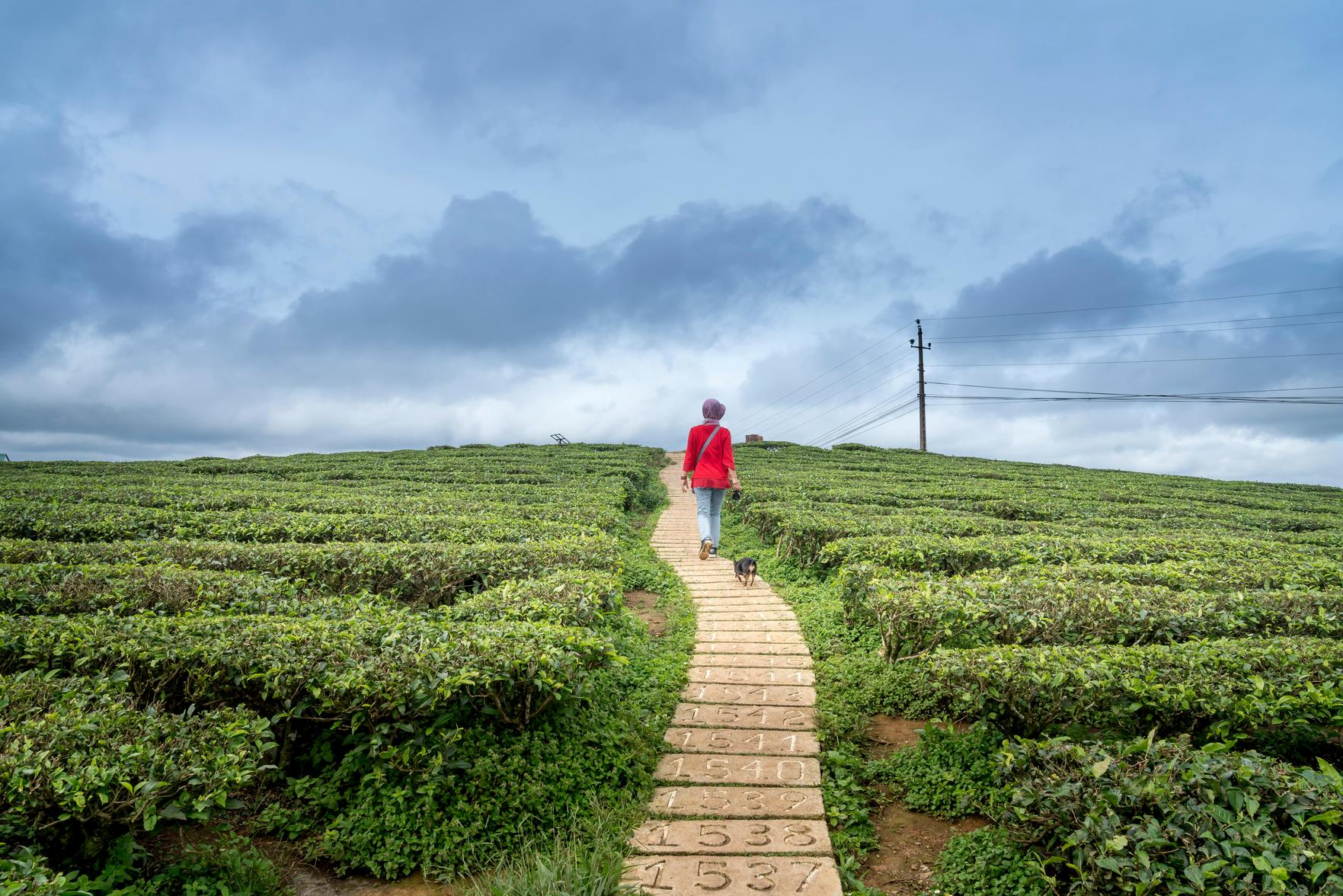 Viagens Inspiradoras: Dicas de Como Transformar Suas Experiências em Sucesso Profissional e Pessoal