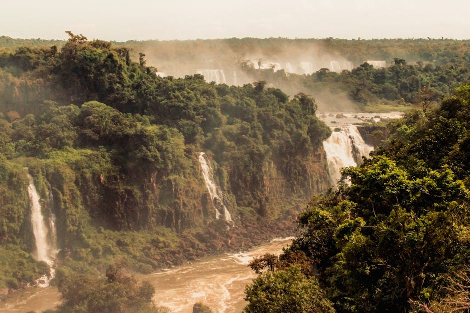 Descubra Foz do Iguaçu: Macuco Safari + Dicas de Viagem