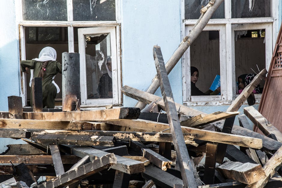 Lapa: Como evitar cupins no seu hotel ou evento