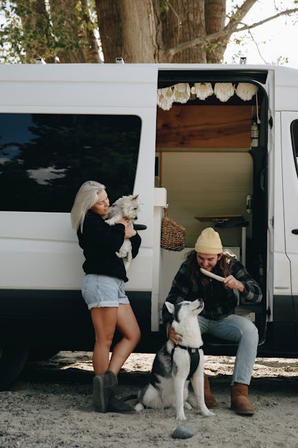 Como Viajar Com Seu Pet: Dicas de Negócios e Bem-Estar